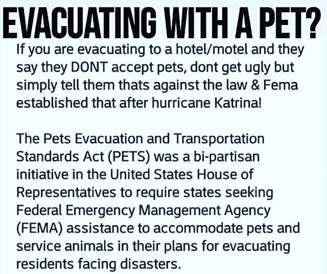 GDRescue2's tweet photo. Keep yourselves and your pets and strays if you can help them - SAFE! #Hurricane #Irma https://t.co/FYoYIJo6yt