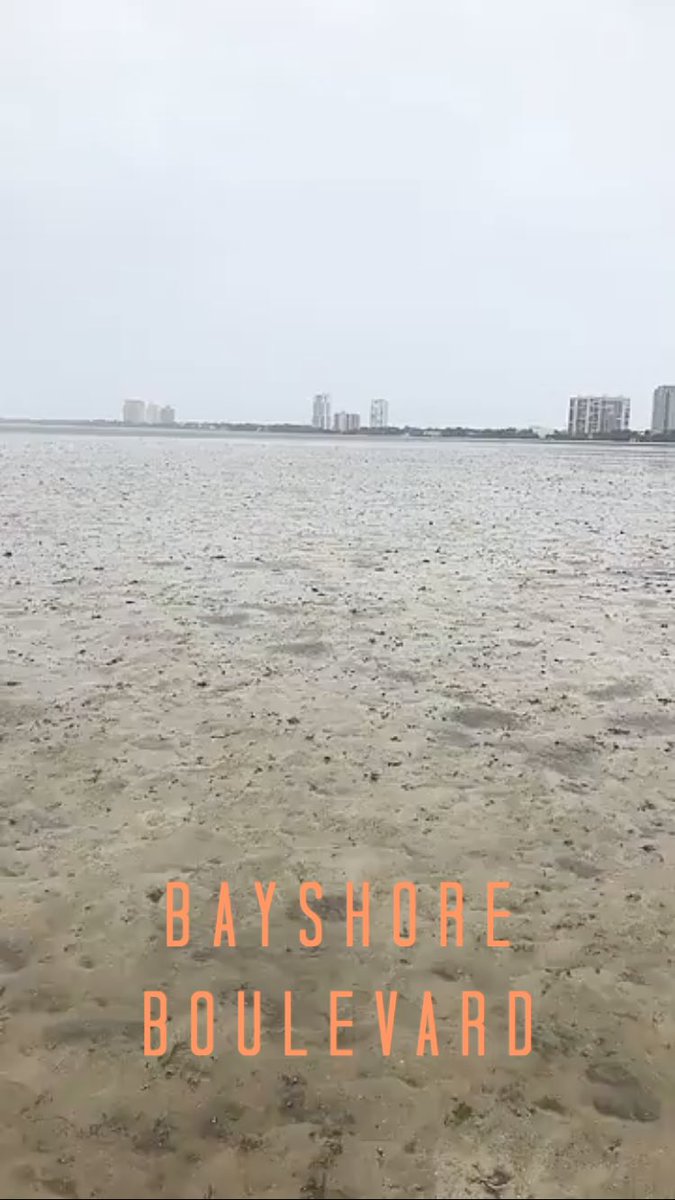 meghandoyle93's tweet photo. 😐 one block from my home in Tampa #Irma #Tampa https://t.co/tRR3pJYuny