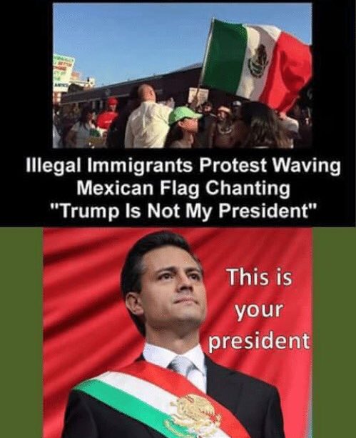 ListSatoshi_'s tweet photo. If you're an "Undocumented Citizen", protesting w/ Mexican Flags, chanting "Trump is not our @POTUS", you're right..#EnriquePeñaNieto is.🇲🇽 https://t.co/HhgSeetkTa