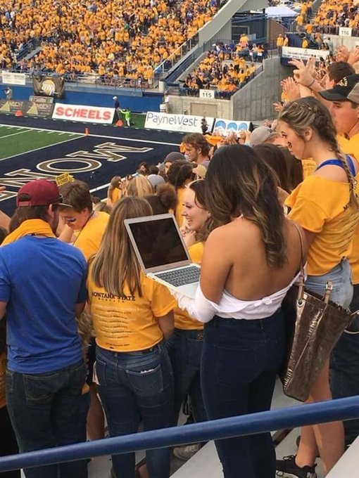 View image on Twitter