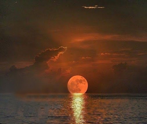 kyrollos_n's tweet photo. The nature 🌙🌊 https://t.co/gOw9hf6NgB