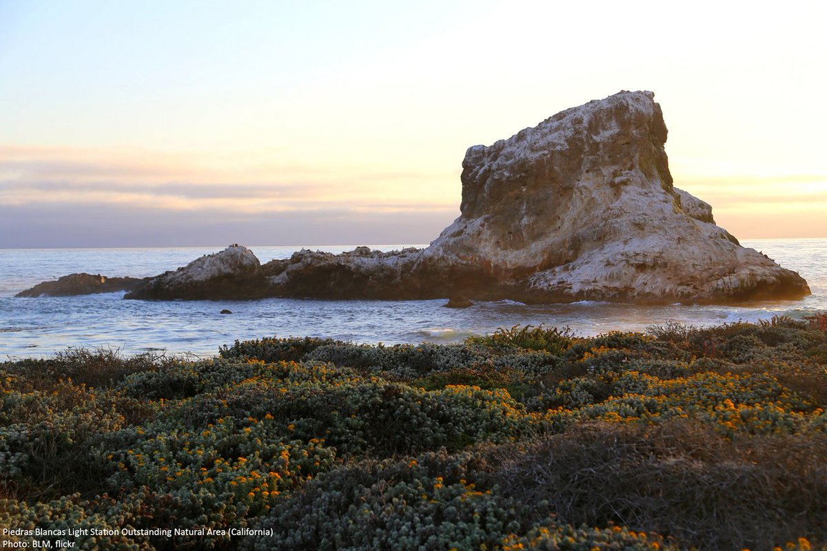 Wilderness's tweet image. "I don't like formal gardens. I like wild nature. It's just the wilderness instinct in me, I guess." - Walt Disney