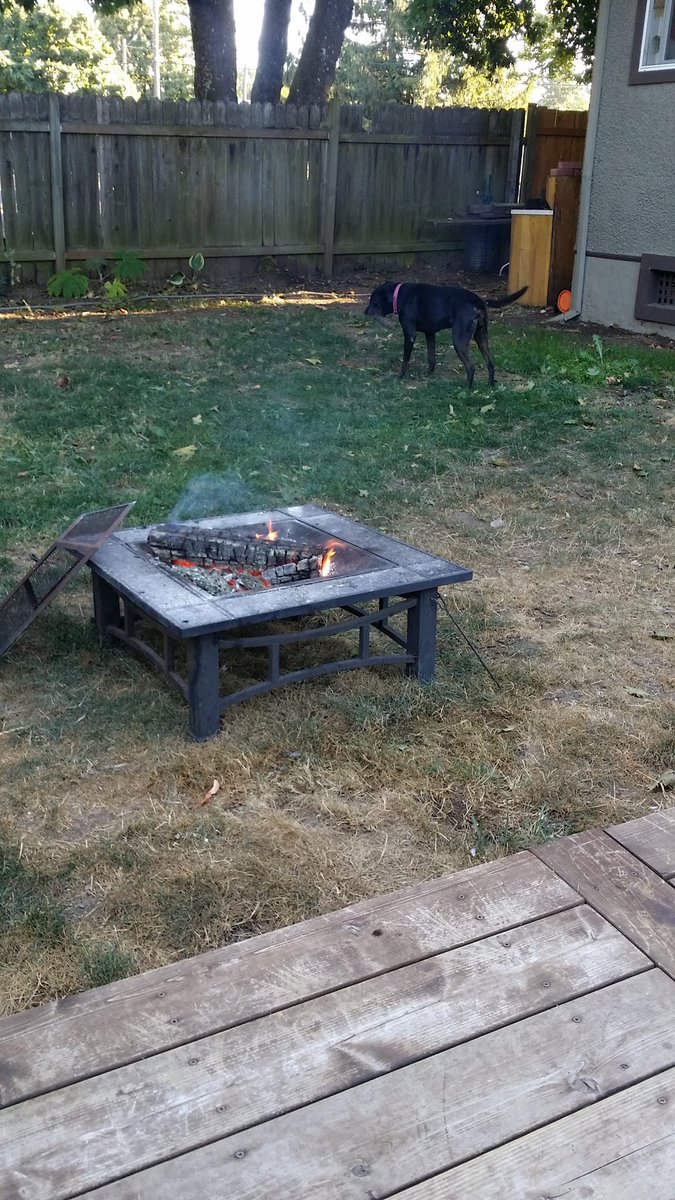 streakinhealys's tweet photo. Writing silly songs by the bonfire while June Carter steals logs off the woodpile #PortlandinSeptember https://t.co/LtHr8UFQ7d