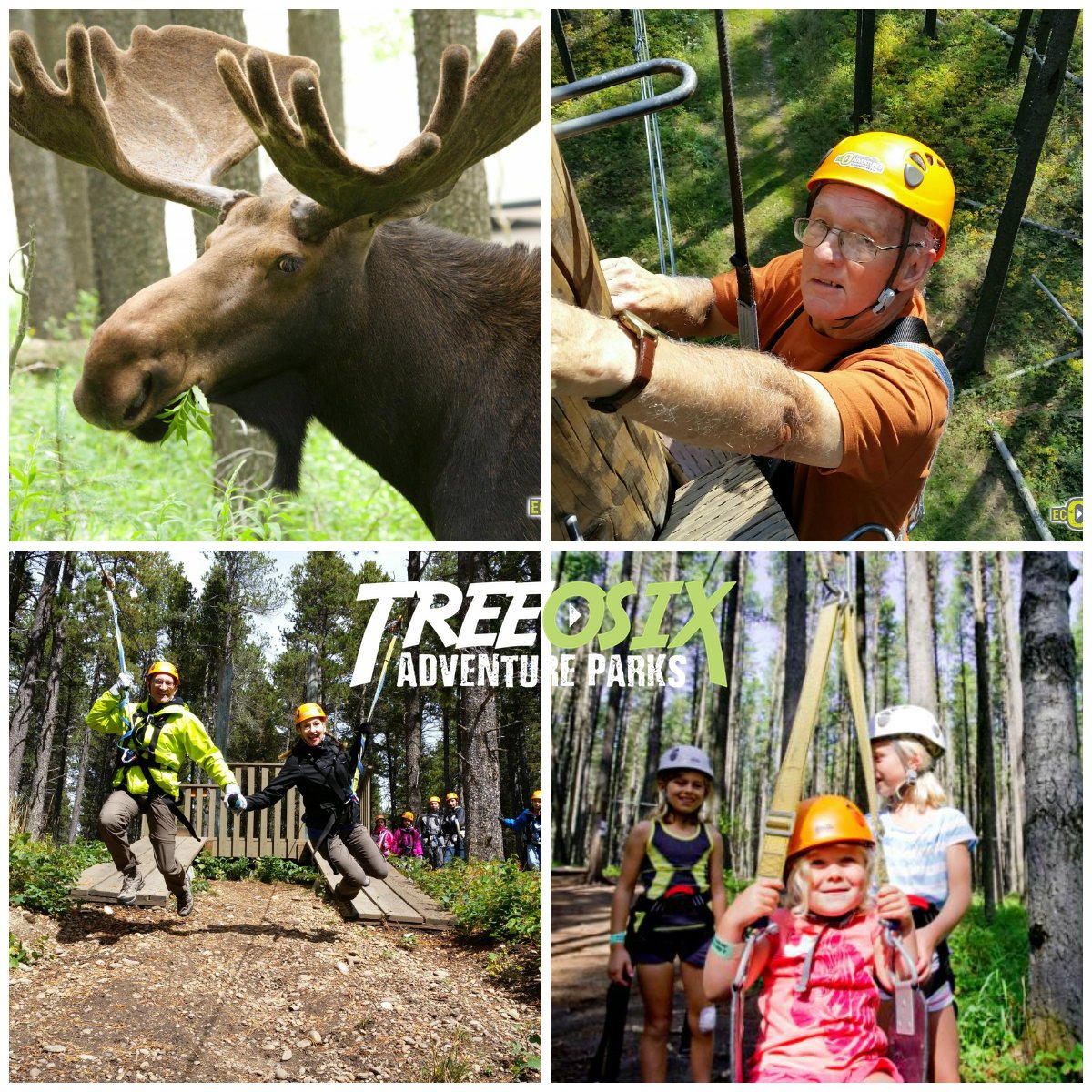 CHdestinationA's tweet photo. Thanks for the memories @Treeosix - we had a blast! See you next year! #MakingMemoires #CHDAMems #exploreSask https://t.co/KItTDHkZ2O