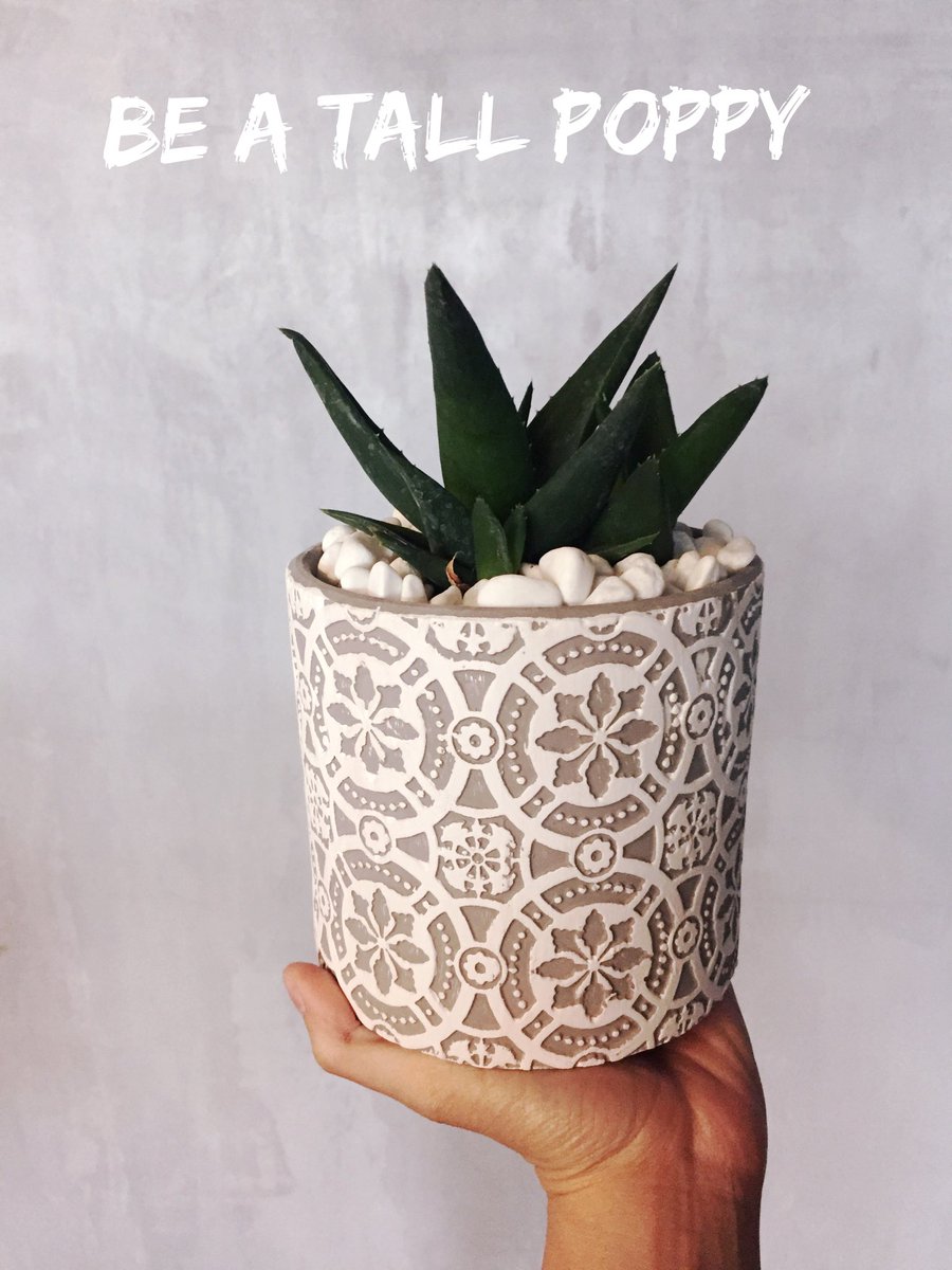 Carey+ Tara Hotchkis tweet media