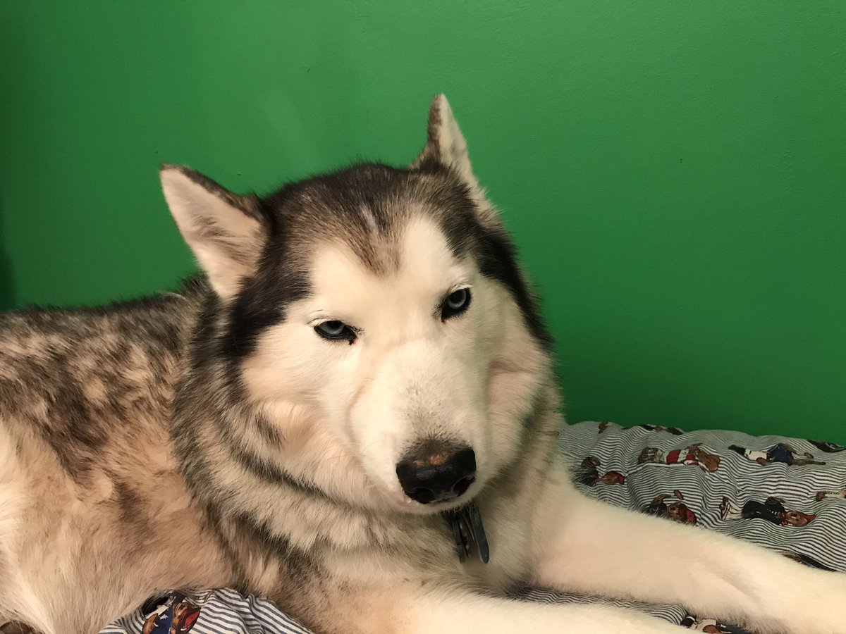 denali912's tweet photo. Was feeling cute, may delete later https://t.co/b1K1azWakB