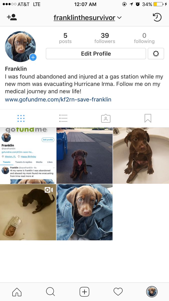 savefranklin's tweet photo. Follow my Instagram to follow my medical journey https://t.co/L16YqumaFb