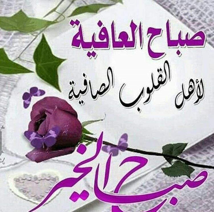 أنت الغلاوالوقت من (@yazain217) on Twitter photo 