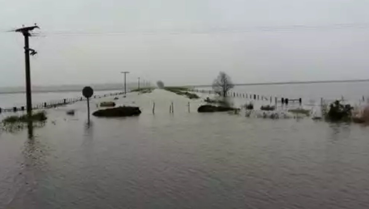 chichik43's tweet photo. @todonoticias @mati_bertolotti Inundaciones en La Pampa. Rancul RN 35. Una pileta!! https://t.co/eCVhL7CNSp