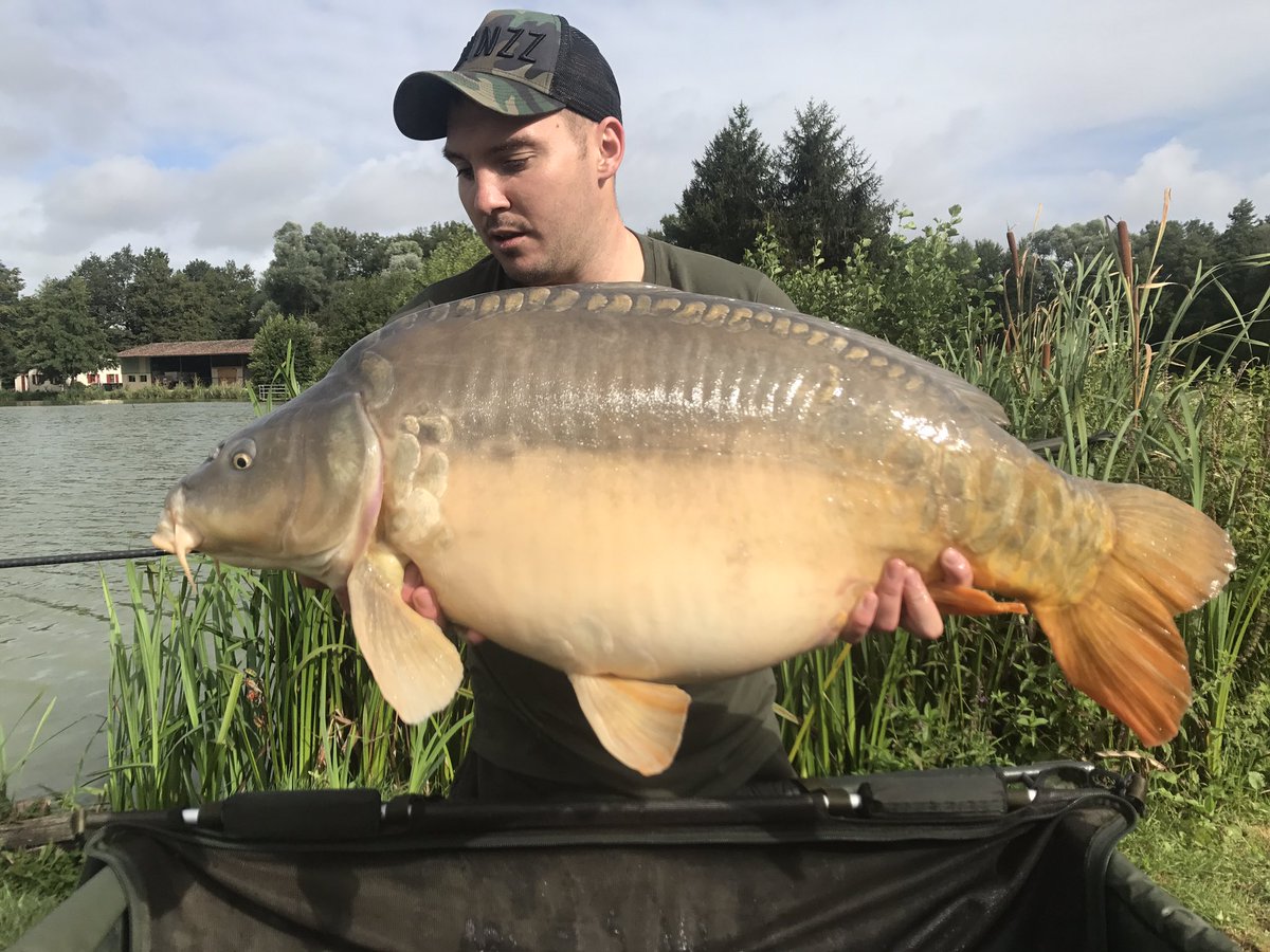 dunne_kierran's tweet photo. @CoreBaits_uk 40lb 8oz of stunning mirror over marine core. From @PaulBachelier 1 of 6 fish in less than 48 hours https://t.co/omYixFg5gP