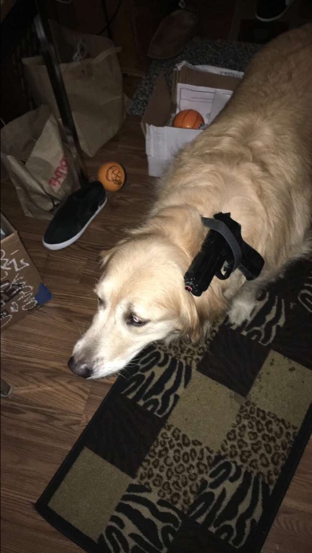 mosttittielickr's tweet photo. Nobody safe out here. Even bodhi strapped https://t.co/9MhjYgk5tN