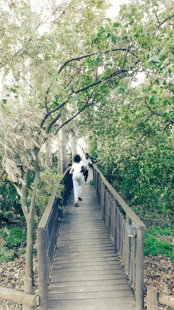TishCharles's tweet photo. Such fun on our #TeamWeekend at #CedarEscape as we #ExploreCitrusdal 🌳a perfect place for families &amp; groups! @WeskusTourism https://t.co/1fJgxDguXi