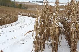radicalhoneybee's tweet photo. Some words are empty; rainless clouds, & some give life, wake us from apathy like snow at harvest. Let's seek to speak Life. #Prv25 #cLectio https://t.co/VD4F6TPsKZ
