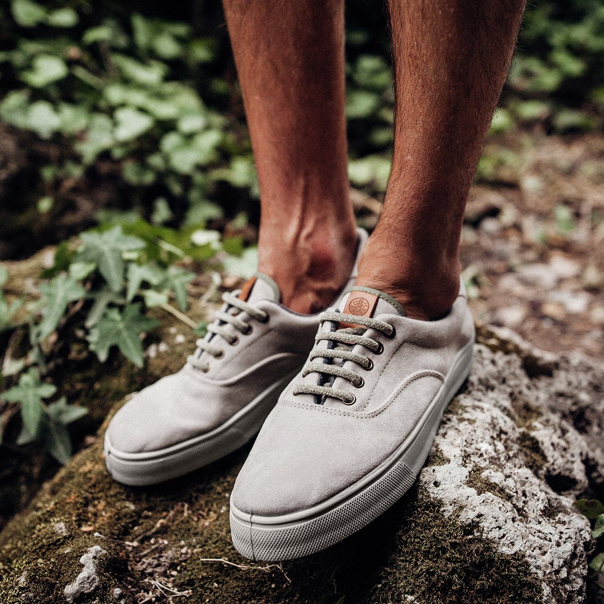 AUTUMN 17.
ONE PAIR 👟 - TWO 🌲 PLANTED.
#treeplanters #ecowarriors #Govegan #crueltyfree #flamingoslife