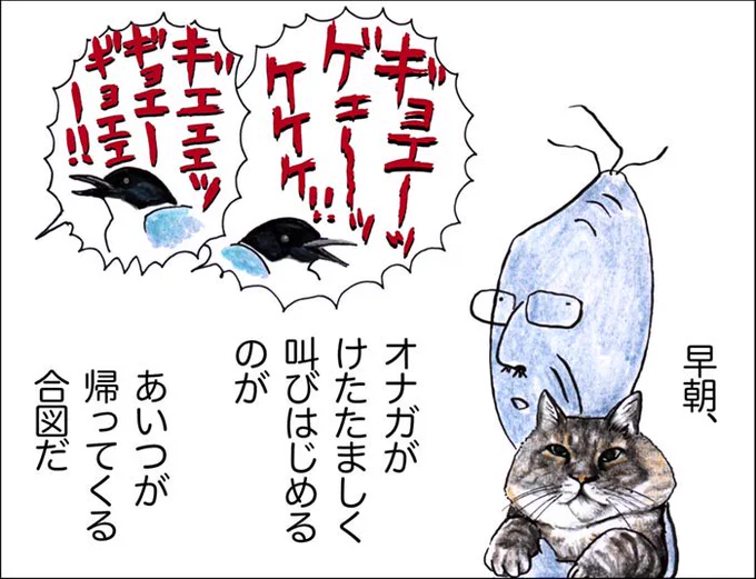 おじいちゃんは俺にサンマとかカニとかトロをちょっとしかくれない。ケチ。 