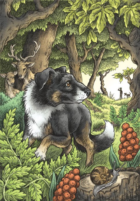 Emma Howitt Illus. tweet media