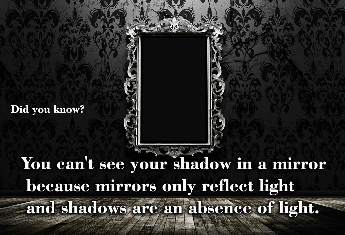 _Reality_Facts_'s tweet photo. #DidYouKnow
You can't see your shadow in a mirror, because mirrors only reflect light, and shadows are an absence of light
#mirrors #science https://t.co/I5TQ3vEKUR