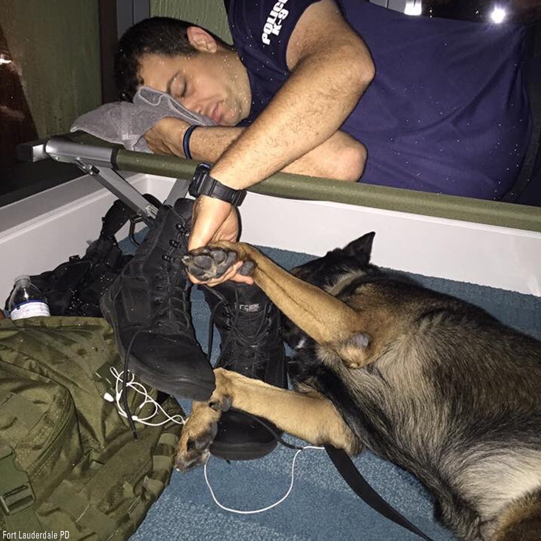 FoxNews's tweet photo. The Fort Lauderdale Police Department tweeted this photo of an officer and his K-9 getting some rest together during Hurricane Irma https://t.co/d8RhCD4kX2