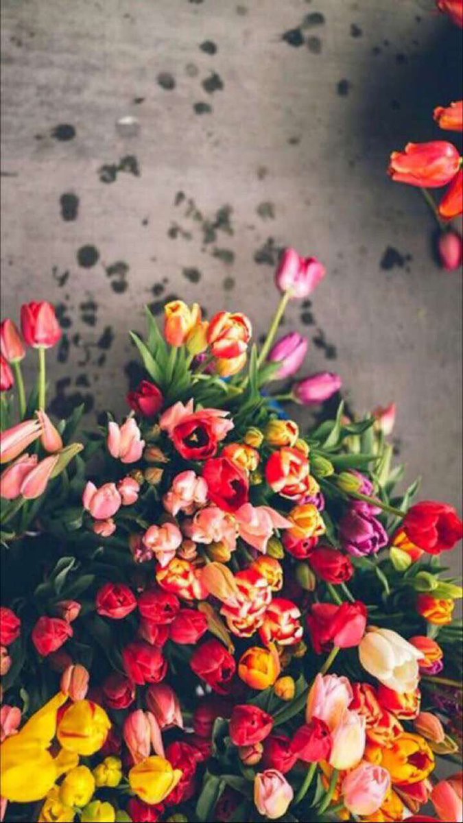 ㅤ 
صباح الخير ، يا وجهٍ تقاسيمه تبشّر خير
وفيه من الرضا مايسعد الخافق ويرضيني . .
ㅤ