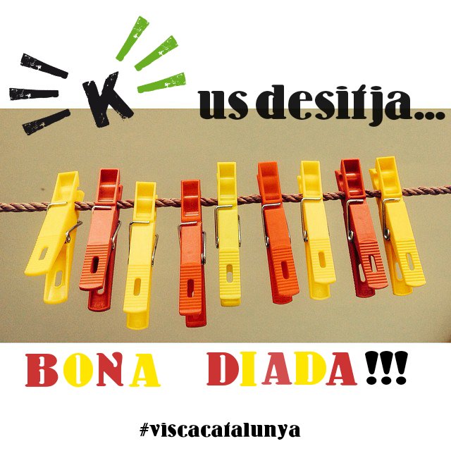 Kata Kitinga tweet media