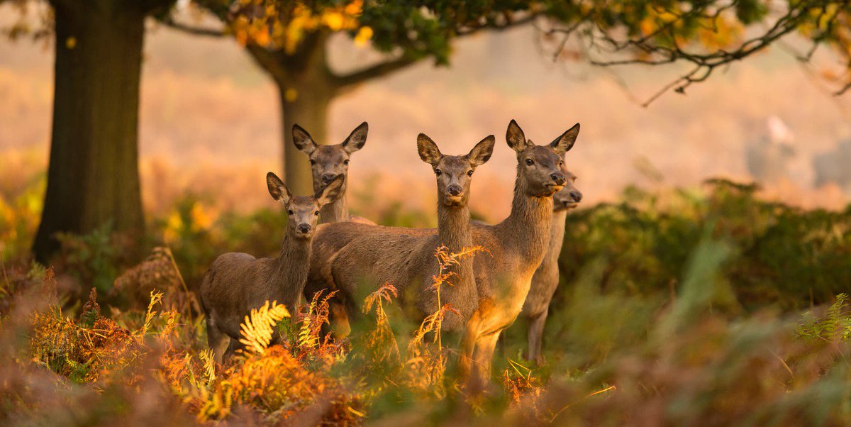 Wishing you all, wherever you are on Planet Earth, a very happy and peaceful new week.