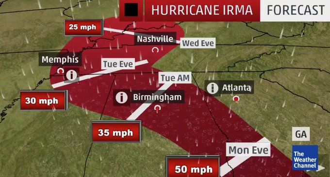 View image on Twitter