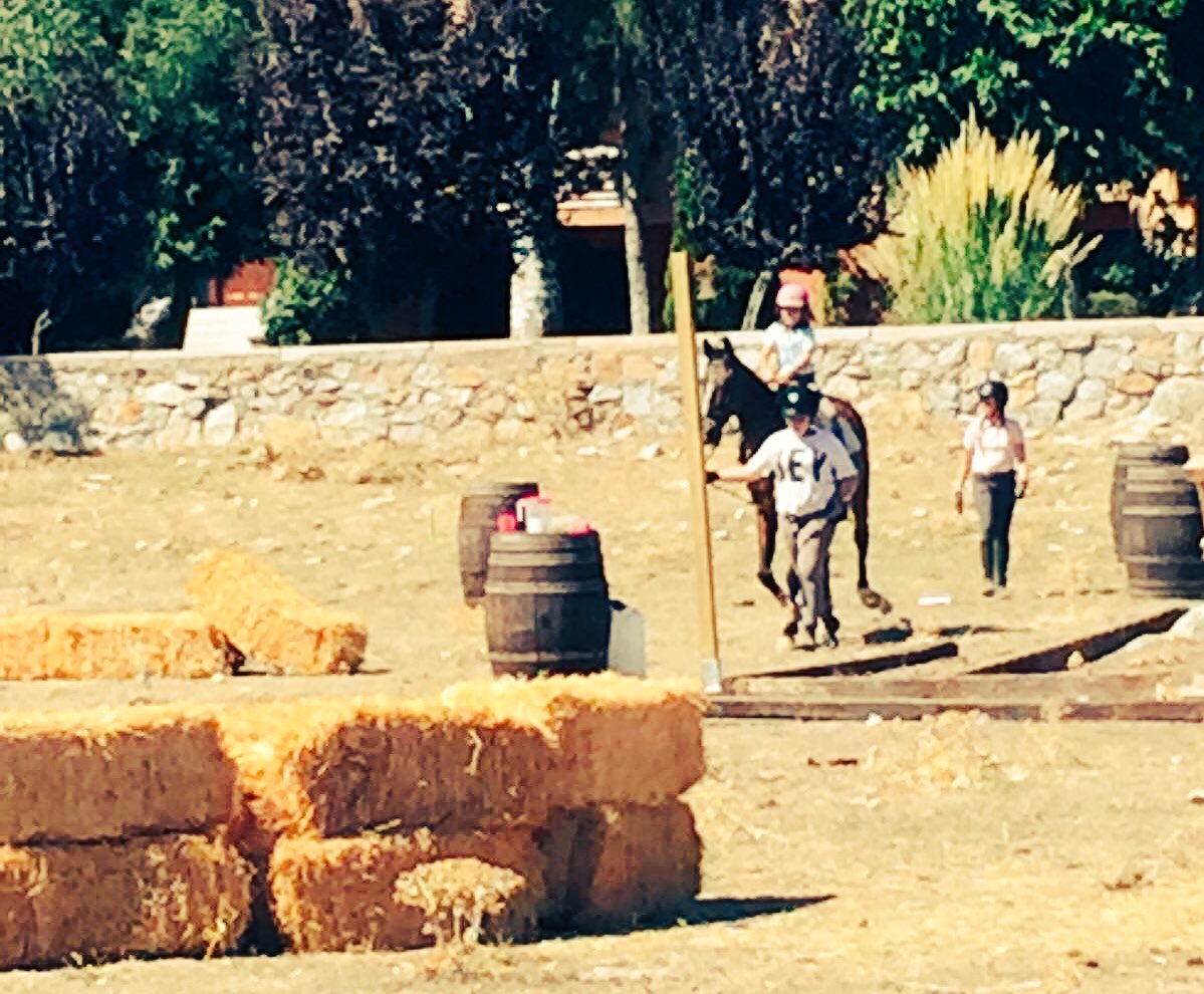 Ayer, la Dehesa acogió el I Concurso de Doma de Caballo de Campo, organizado x la Asociación Amigos del Caballo de #Moralzarzal