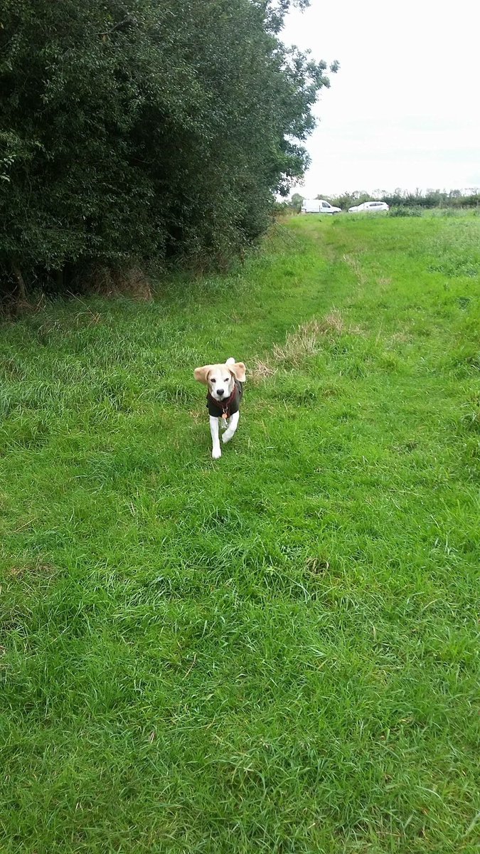 Stunning Harry looking good ❤️