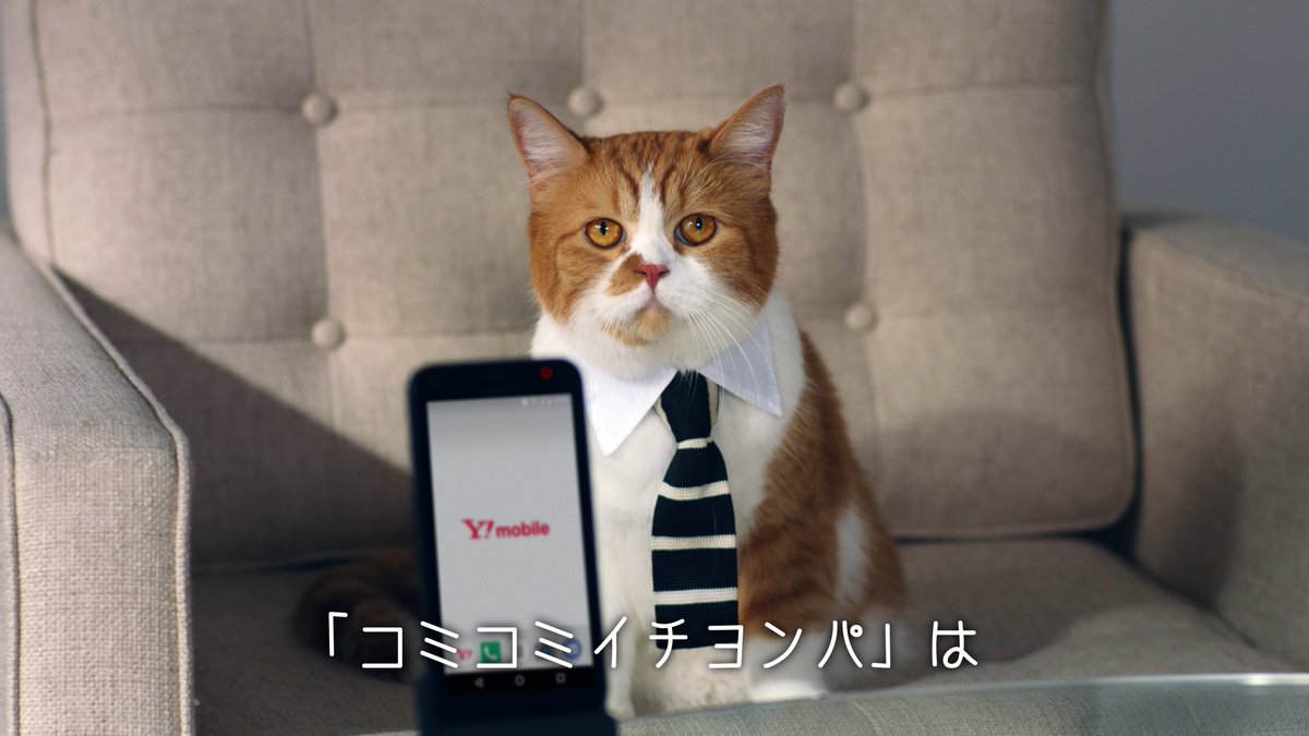 Y Mobile ワイモバイル 公式 Di Twitter 新cmキャラクターに猫のニャンシー社長が登場 声の出演は誰でしょう Https T Co Hh9flhi0co もう一人シークレットキャストが Https T Co 7ghsysp51p 桐谷美玲 斎藤工 吉田鋼太郎 ふてニャン ゆりやん