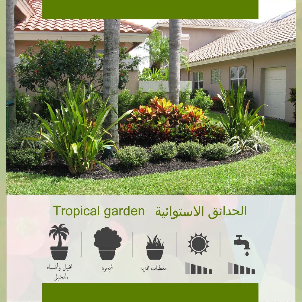 #الحدائق_الاستوائيه #Tropical_garden
#حديقه #امارات #ابوظبي #UAE #بين_جسرين #الشامخة #مدينة_خليفة #مدينة_محمد_بن_زايد #مصدر #الشوامخ