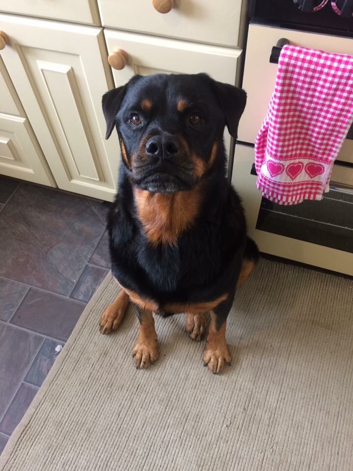 facebook.com/permalink.php?… Sammy update ❤️