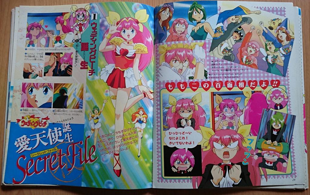 ウェディングピーチ シークレットファイル ムック本 絵本 アニメグッズ