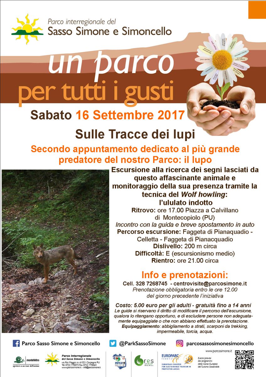 Parco SassoSimone tweet media