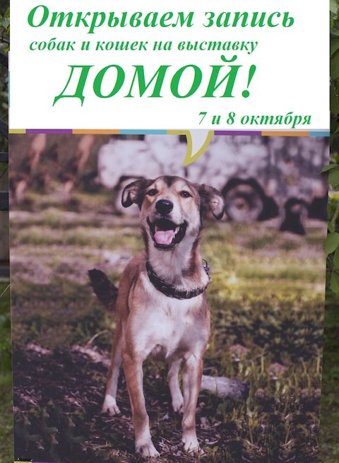 Вы ждали этого - и ВОТ СВЕРШИЛОСЬ! ghope.ru/news/vy-zhdali…