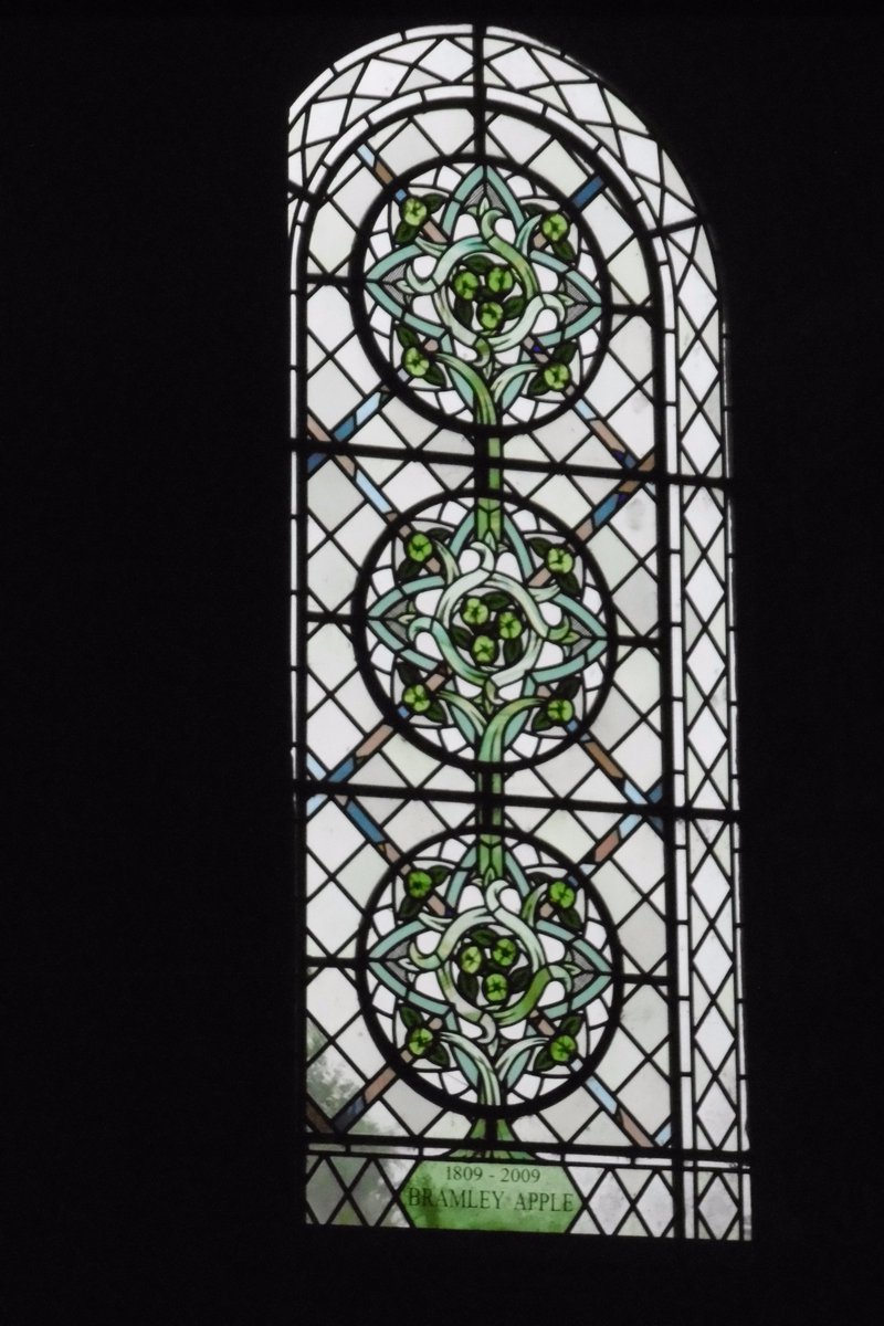 #SouthwellMinster bicentenary window for the #BramleyApple first grown in Southwell from pips planted by Mary Brailsford in 1809