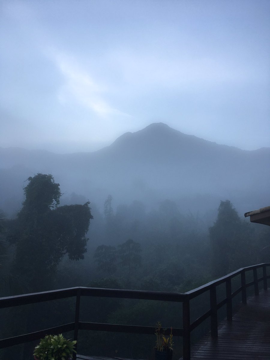 Aquela segunda linda!! 😍