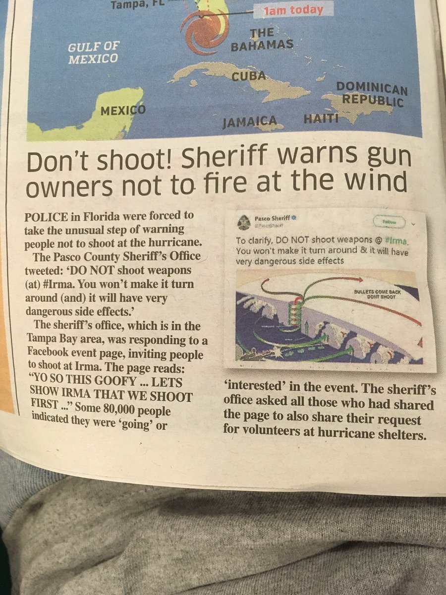 Theo McInnes tweet media