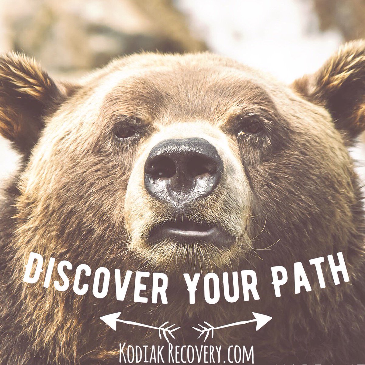KodiakRecovery's tweet photo. https://t.co/eJ2USbDV8J