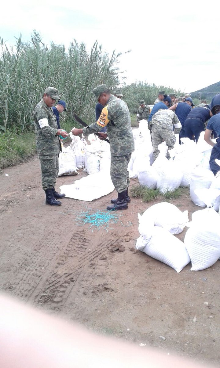 CEPCyGR_GobOax's tweet photo. En Coordinación con Ejército y Policía Sta Cruz Amilpas y Sn Sebastián Tutla se realizan trabajos de reforzamiento del bordo derecho del río https://t.co/1zwmdSIvrs
