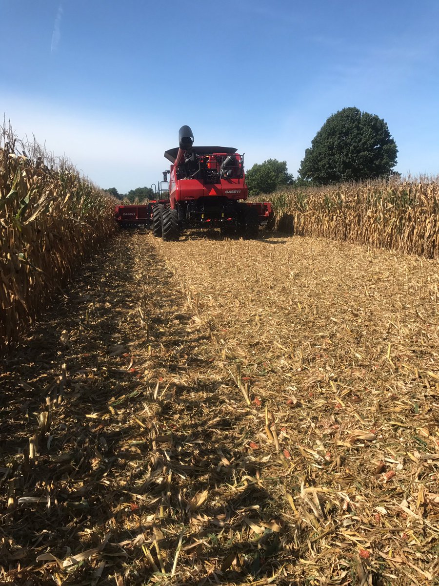 roeseed's tweet image. Putting big red to work in this @ChannelSeed corn