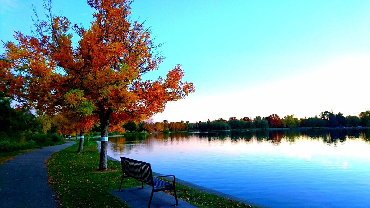 Cassandra3517's tweet photo. I'd love to just sit on that bench n do nothing.

#LAKE #PhotoOfTheDay #Wanderlust #nature #Denver #travel #trees #fall #relax #peace #scene https://t.co/SLAd9USZDq