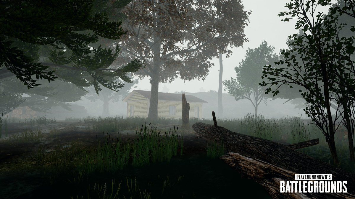 PUBG's tweet image. We'll have our next update's patch notes for you tomorrow, but for now, here's a better look at our new Foggy Weather Effect!