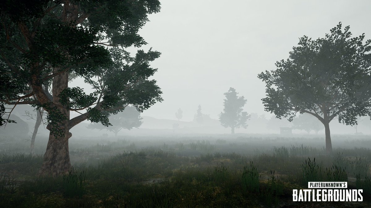 PUBG's tweet image. We'll have our next update's patch notes for you tomorrow, but for now, here's a better look at our new Foggy Weather Effect!