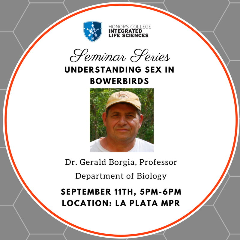 ILS_UMD's tweet photo. Join us today for a seminar on bowerbirds! See the flyer for more details! https://t.co/2uhQwEMF5o
