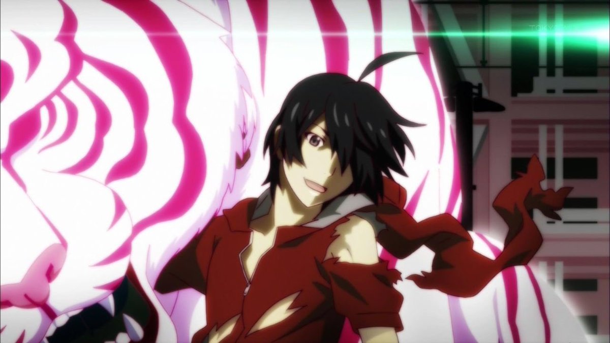 阿良々木暦 どちらが好き 傷物語の阿良々木暦 猫物語の阿良々木暦