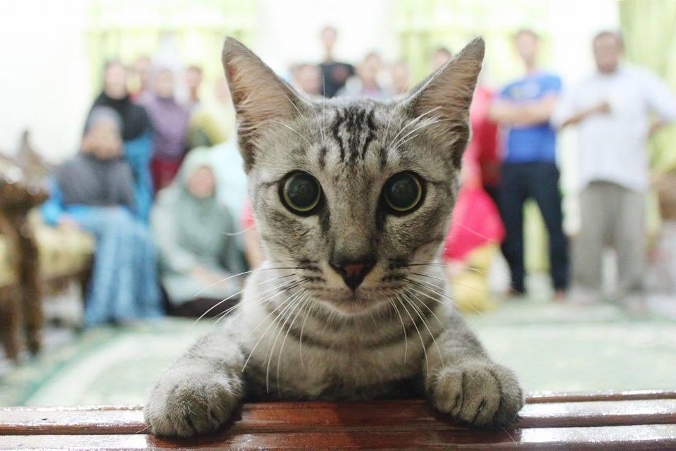 smalltenimal's tweet photo. https://t.co/iLzzHPU8px