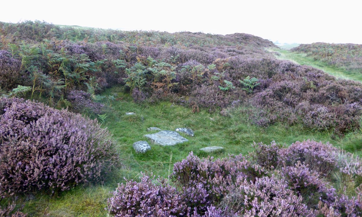 Last of the summer heather:  Simonside Hills & Iron Age fort, Lordenshaws @NlandNP @northeastevents @alnwickgazette @EventsNE @BradshawFND