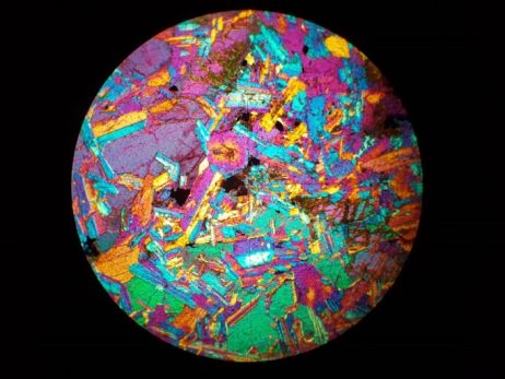 MarineBio_SAM's tweet photo. #Mineral
Microscopic view of #Minerals in Basalt- #Plagioclase #Augite #Biotite #MyMotherTongue https://t.co/gF7NNmIRyG