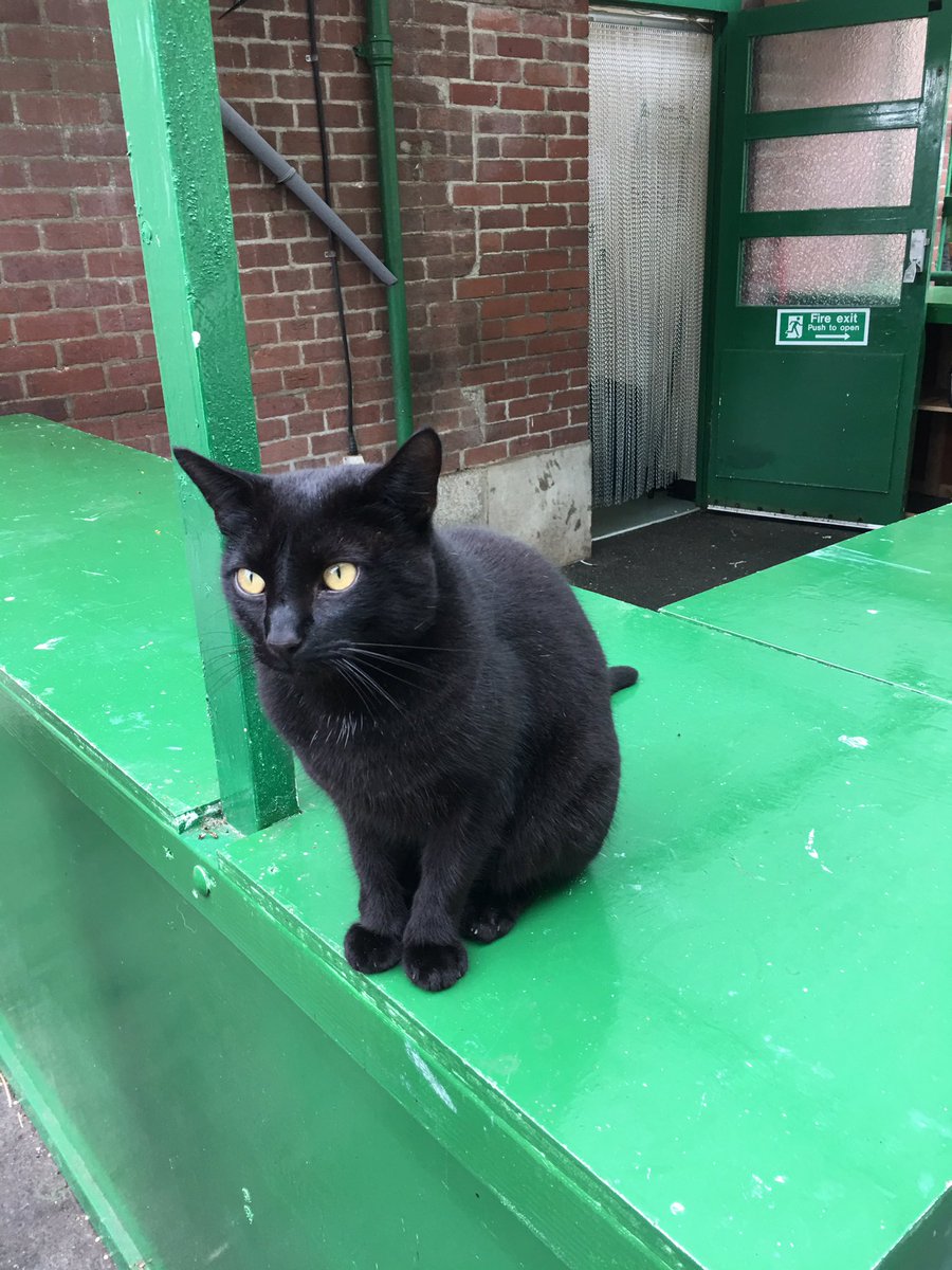 vogelphilipc's tweet photo. @dartmoornpa @DartmoorRailway #Exeter #Oke #Percy meet & greet walk in rain #MeldonViaduct cuppa #railwaycarriage at end of the viaduct https://t.co/vFiBKBFMR4