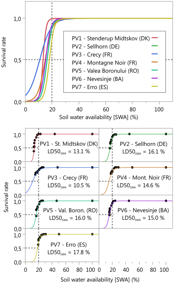 PESP_Research's tweet photo. #TreePhysiology #beech #SurvivalRate #SoilWaterAvailability link:https://t.co/OlBTgBhPE5 https://t.co/5M0CFAbQ2g